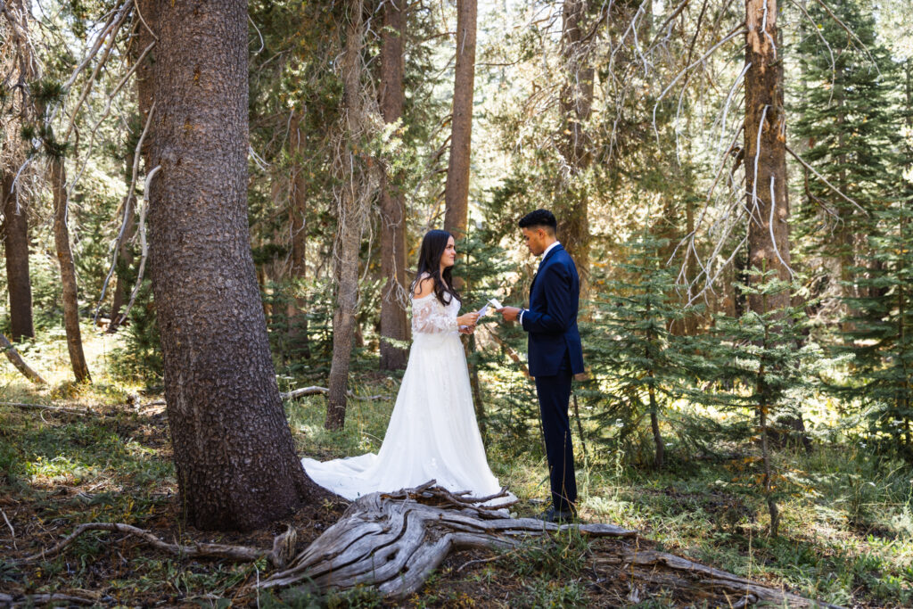 couple exchanges vows in Yosemite National Park