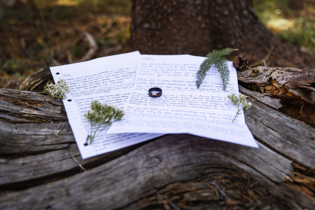 couple getting married on Minnesota's North Shore