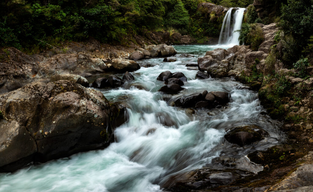 Eloping on New Zealand's North Island