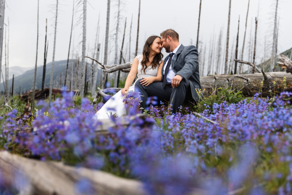 couple kissing in wildflower in Glacier National Park