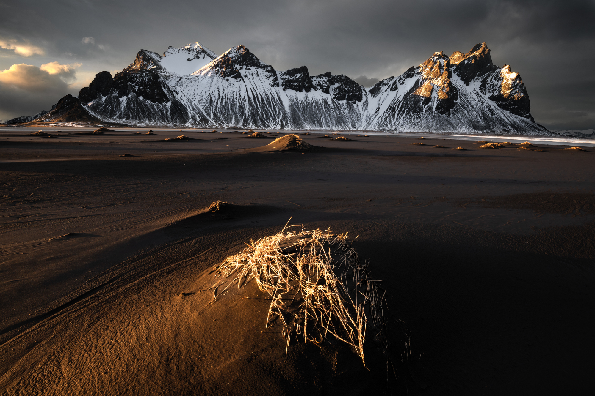 iceland elopement at vestrahorn