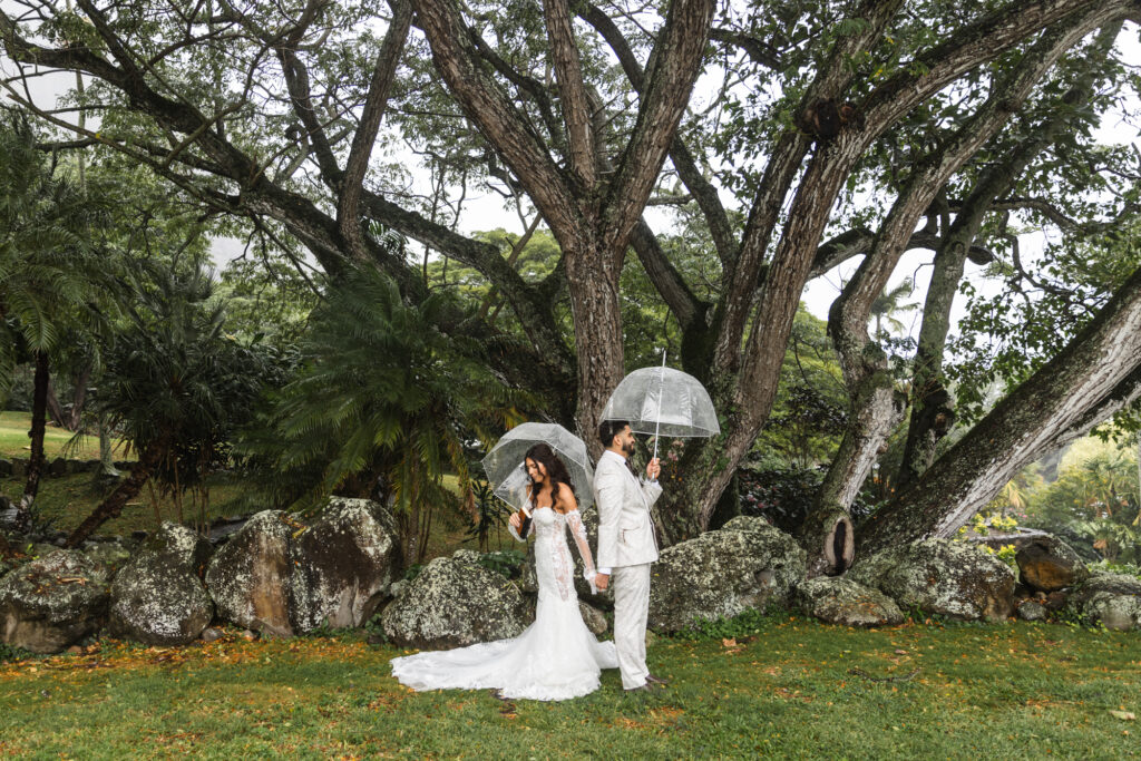 First look at Kualoa Ranch